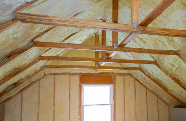 Best Residential Insulation in Spring Valley, CA