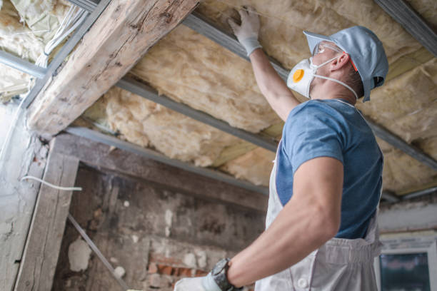 Best Insulation Installation Services in Spring Valley, CA