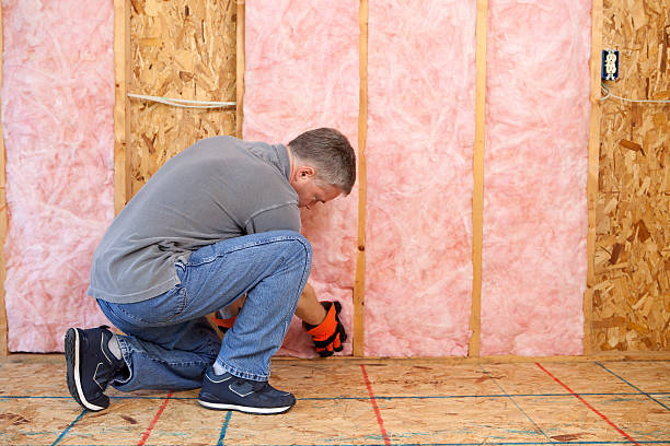 Best Residential Insulation in Spring Valley, CA