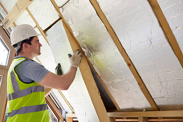 Best Insulation Maintenance and Repair in Spring Valley, CA