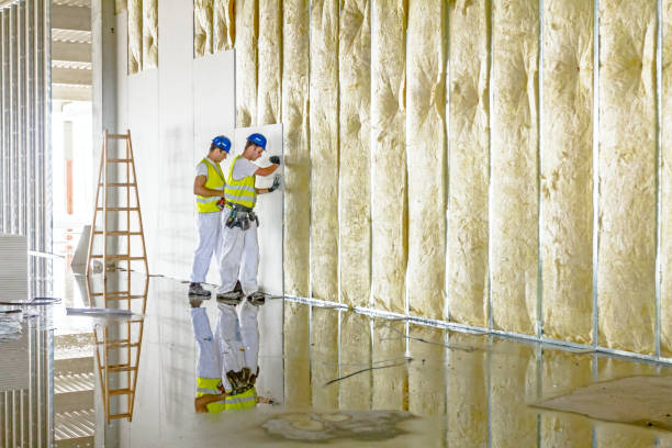 Best Insulation for Specific Applications in Spring Valley, CA